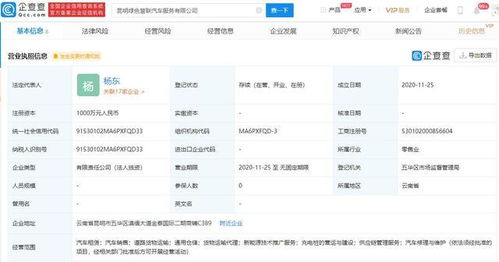 吉利新成立8家公司，技術推廣服務成核心戰略